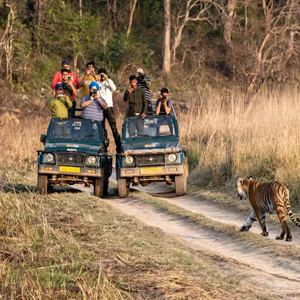Jim Corbett Wildlife Safari and Nature Trail