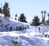 Shimla to Kufri and Narkanda