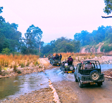 Delhi to Jim Corbett Tour