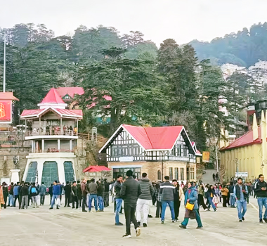 Delhi to Shimla Tempo Traveller